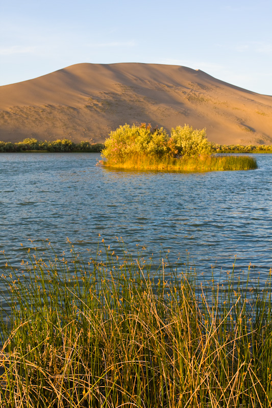 Dune Above Big Dune Lake